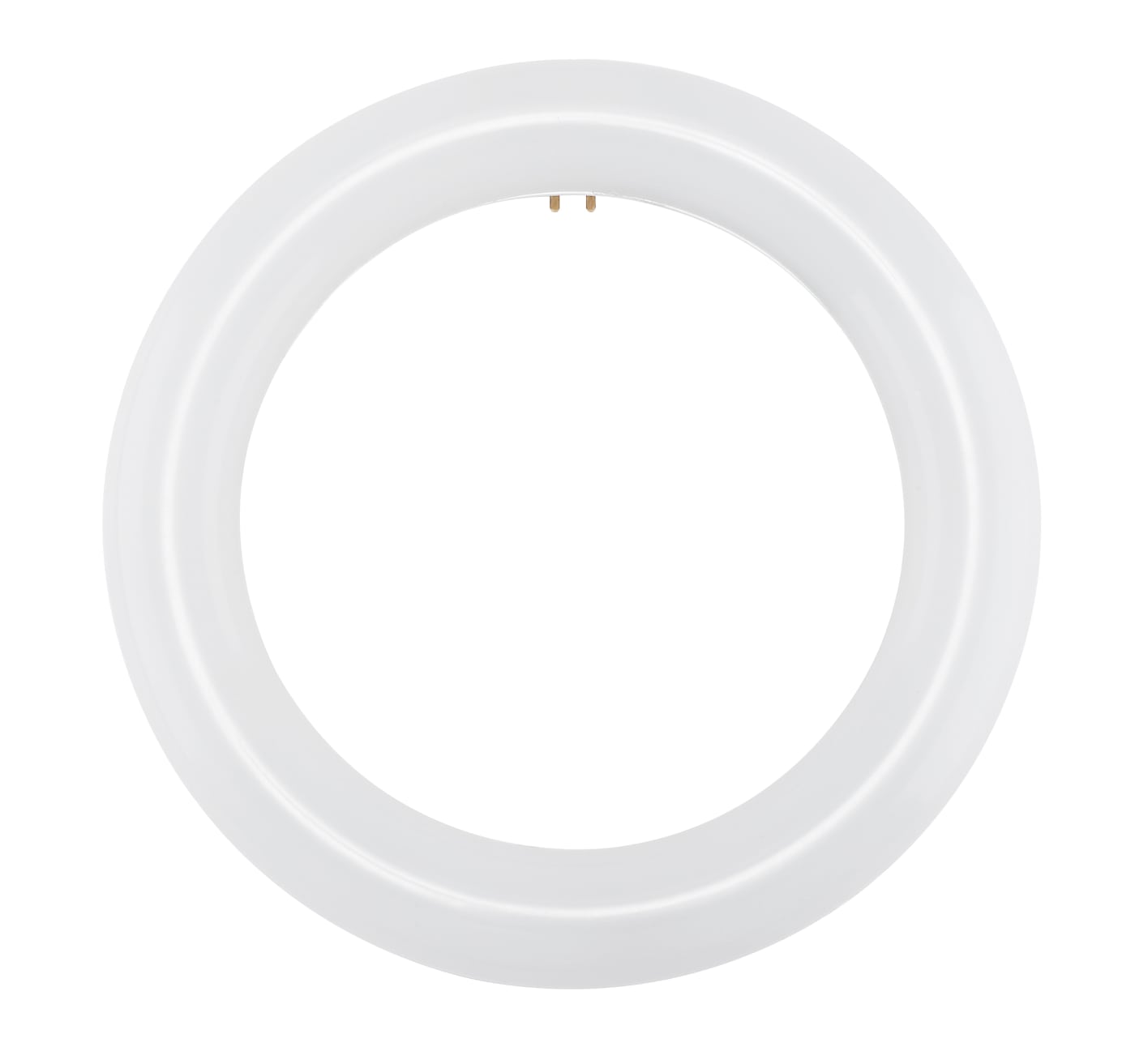 SATCO - G10 T9 LED Circline Light Bulb